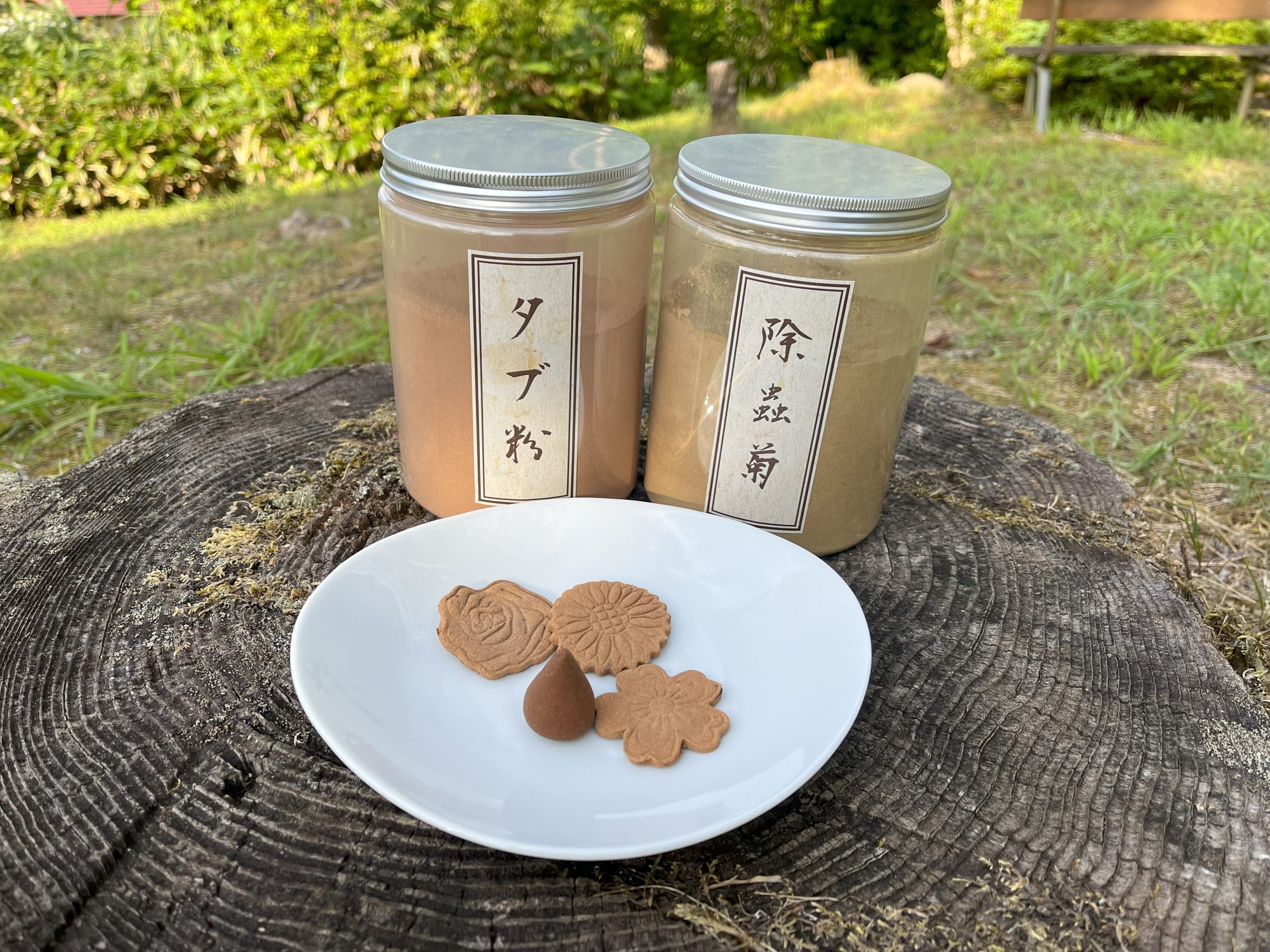 蚊取り線香作り